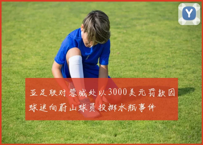 亚足联对蓉城处以3000美元罚款因球迷向蔚山球员投掷水瓶事件