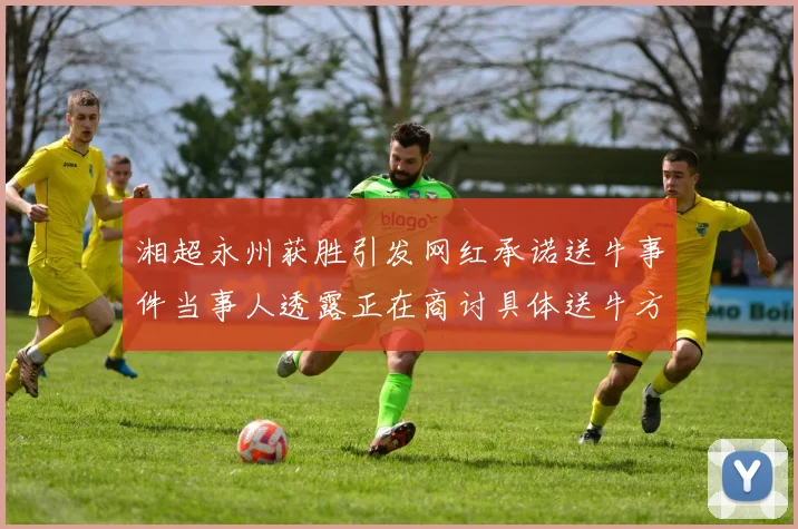 湘超永州获胜引发网红承诺送牛事件当事人透露正在商讨具体送牛方案