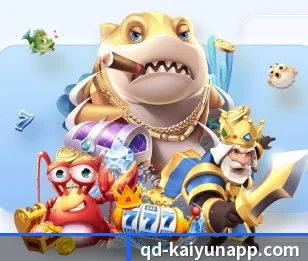 五个功能入口,赛程查询路径更短 | kaiyun